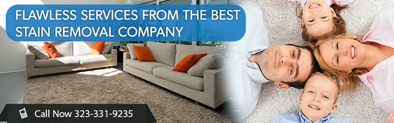 Carpet Cleaning Services